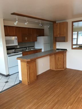 LATE DEC PRE-LEASE! TOP FLOOR, cat-friendly 1 BD in SoBo (680-310) – photo 1