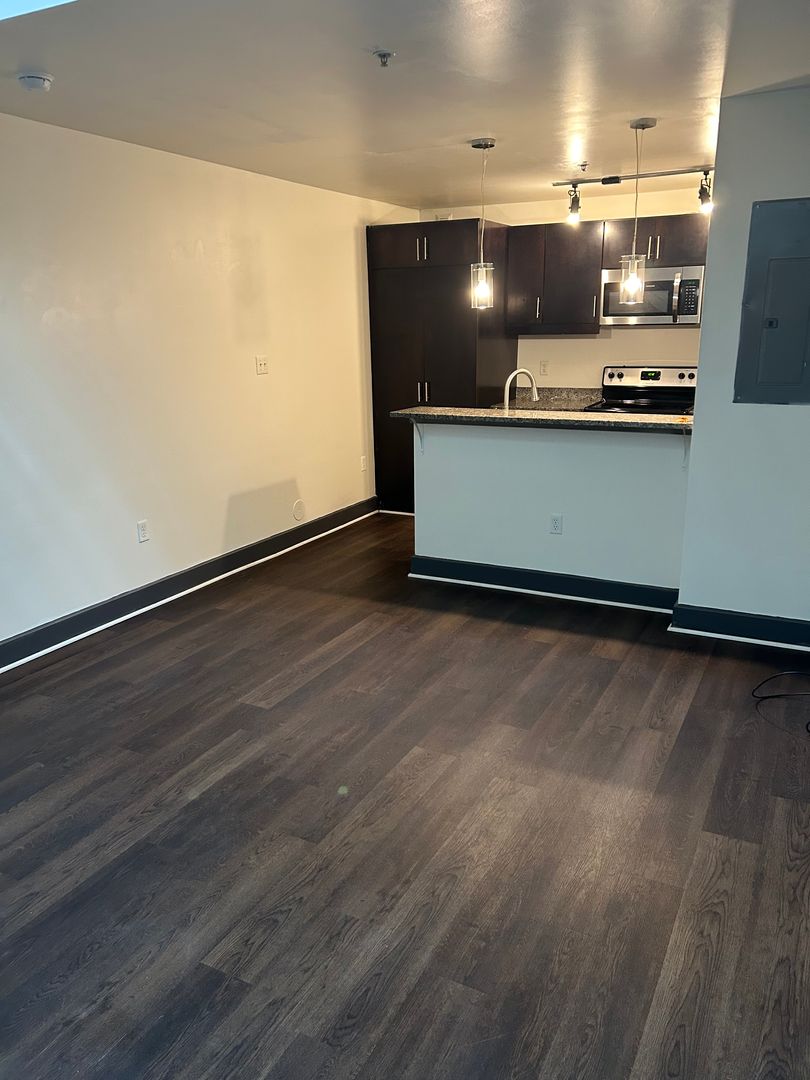 Richmond Apartment: 1100 Hull Street