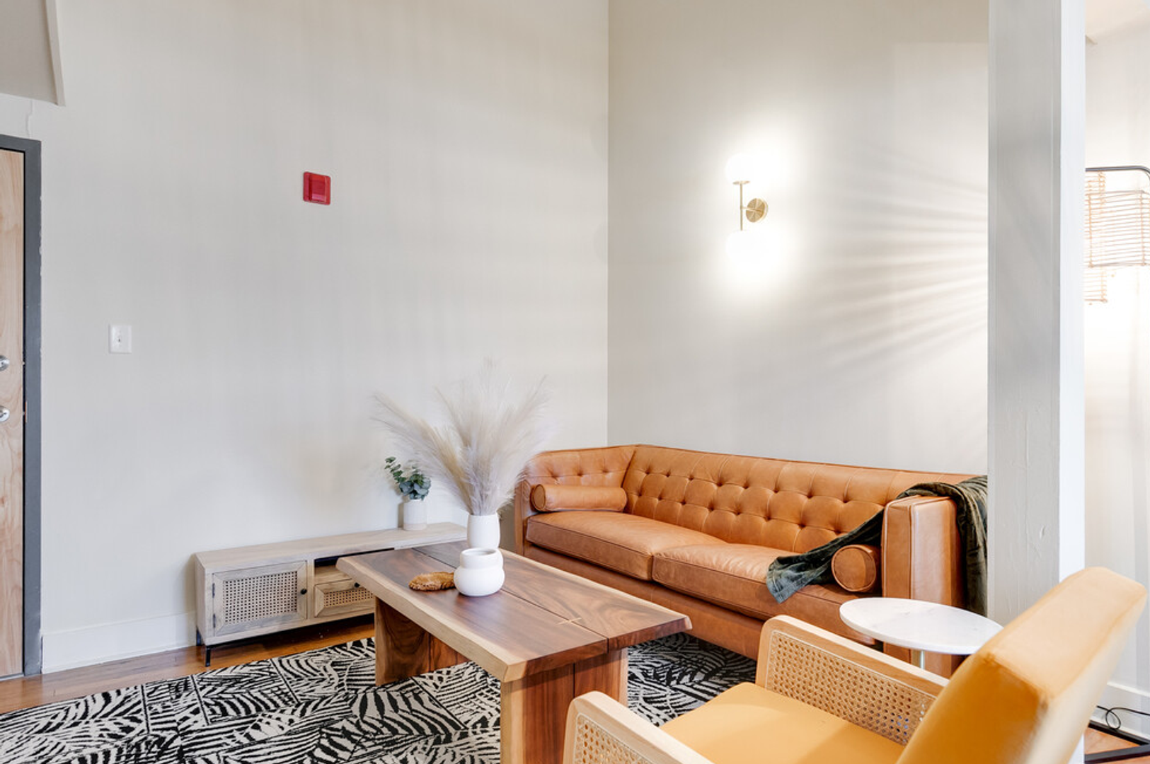 Richmond Apartment: 213 E Broad Street