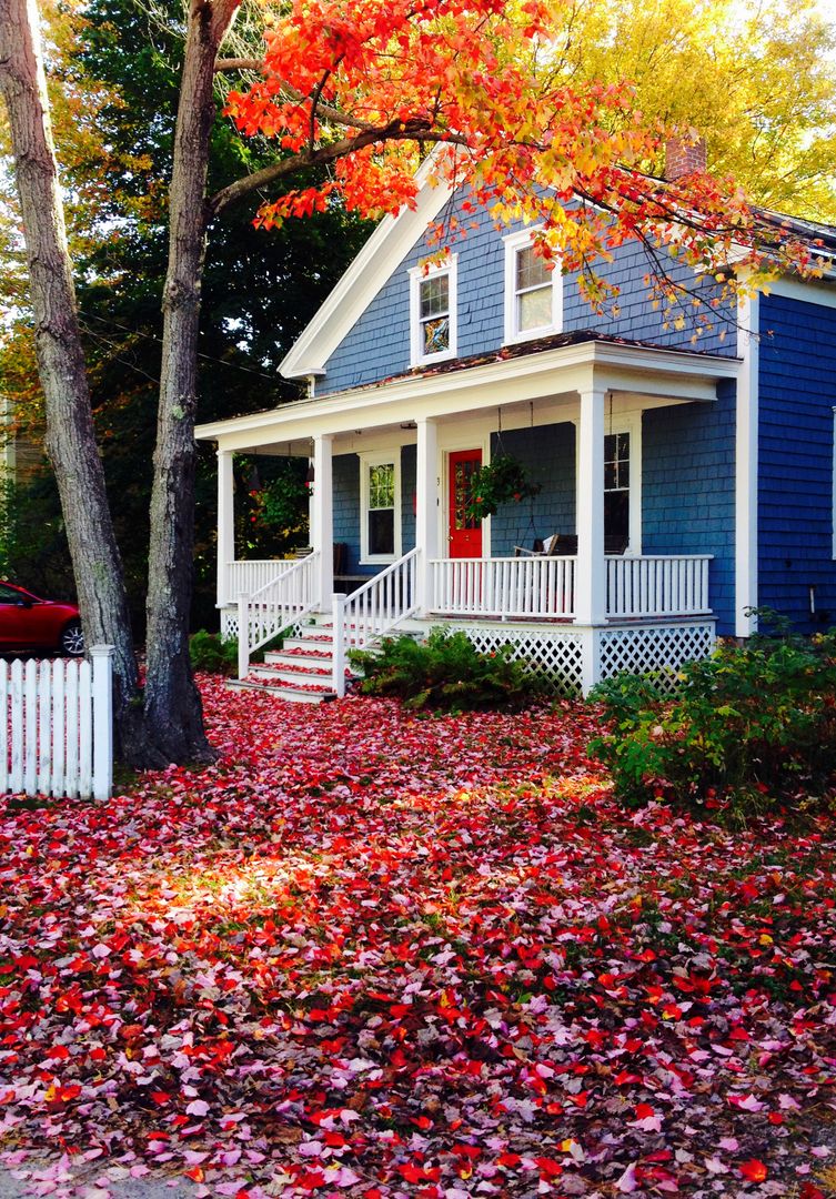 Charming 2 Bed 1 Bath