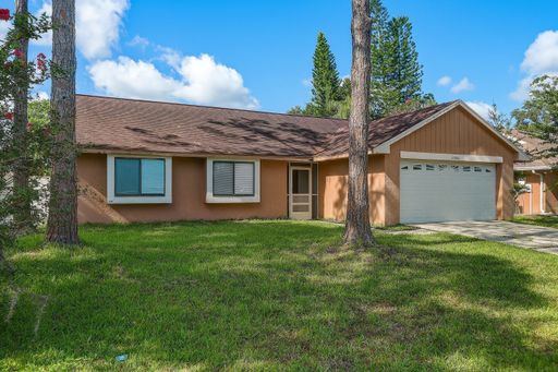 Spacious 3-Bedroom Home in Carrollwood/Northdale – Great Location! – photo 1
