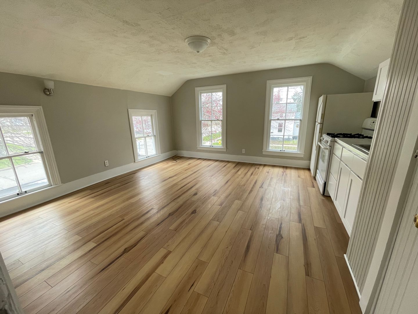 Adrian Apartment: 223 Chestnut St