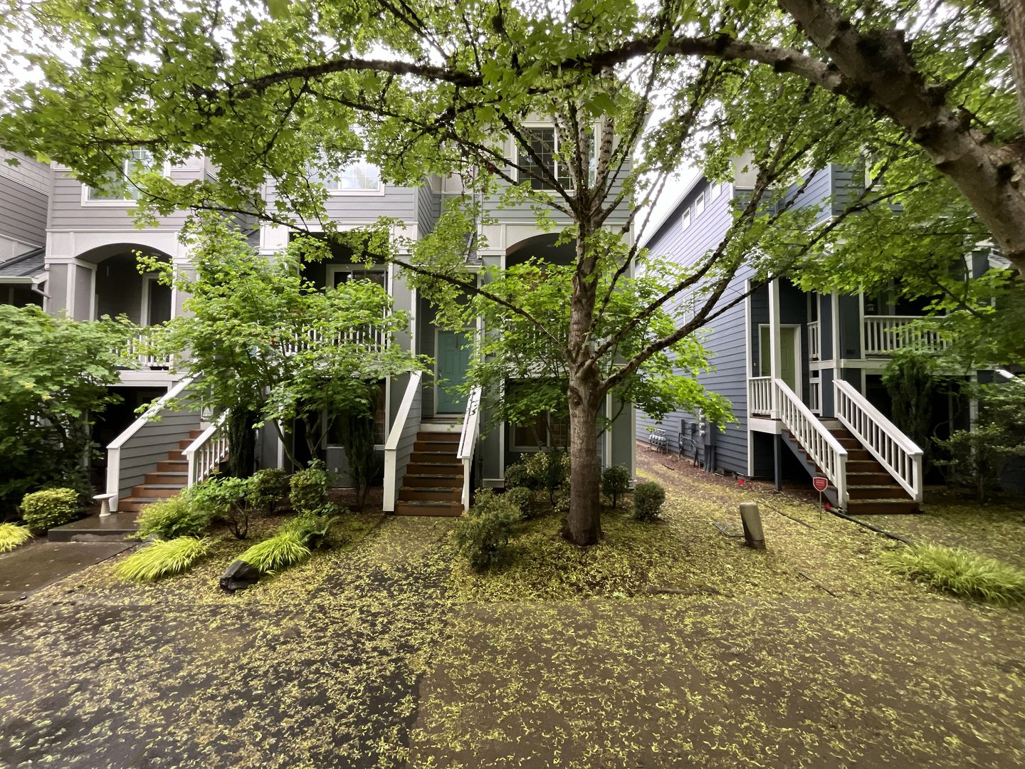 Beaverton House: 17460 SW November Ct