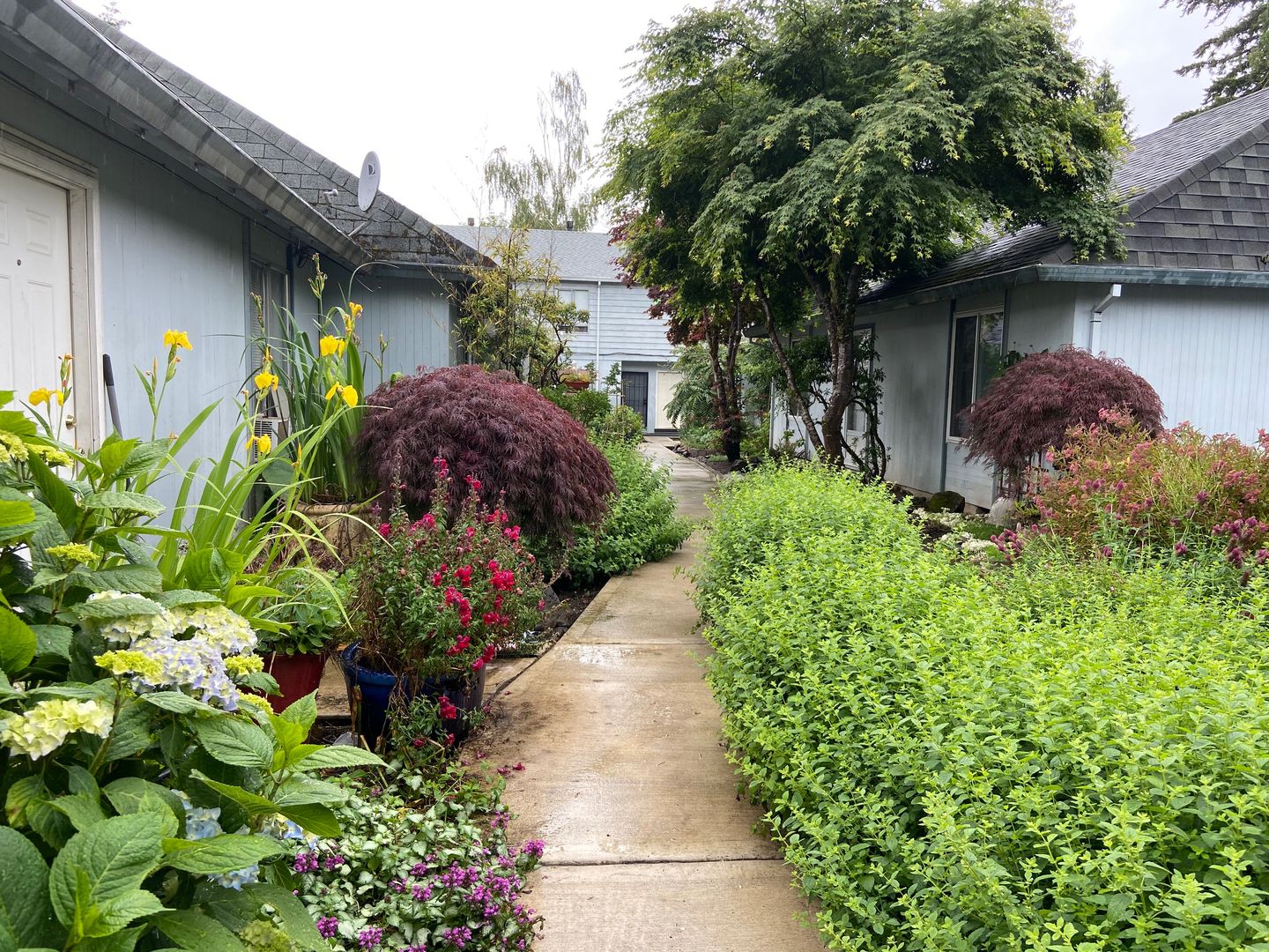 Beaverton House: 4495 SW 96th Avenue