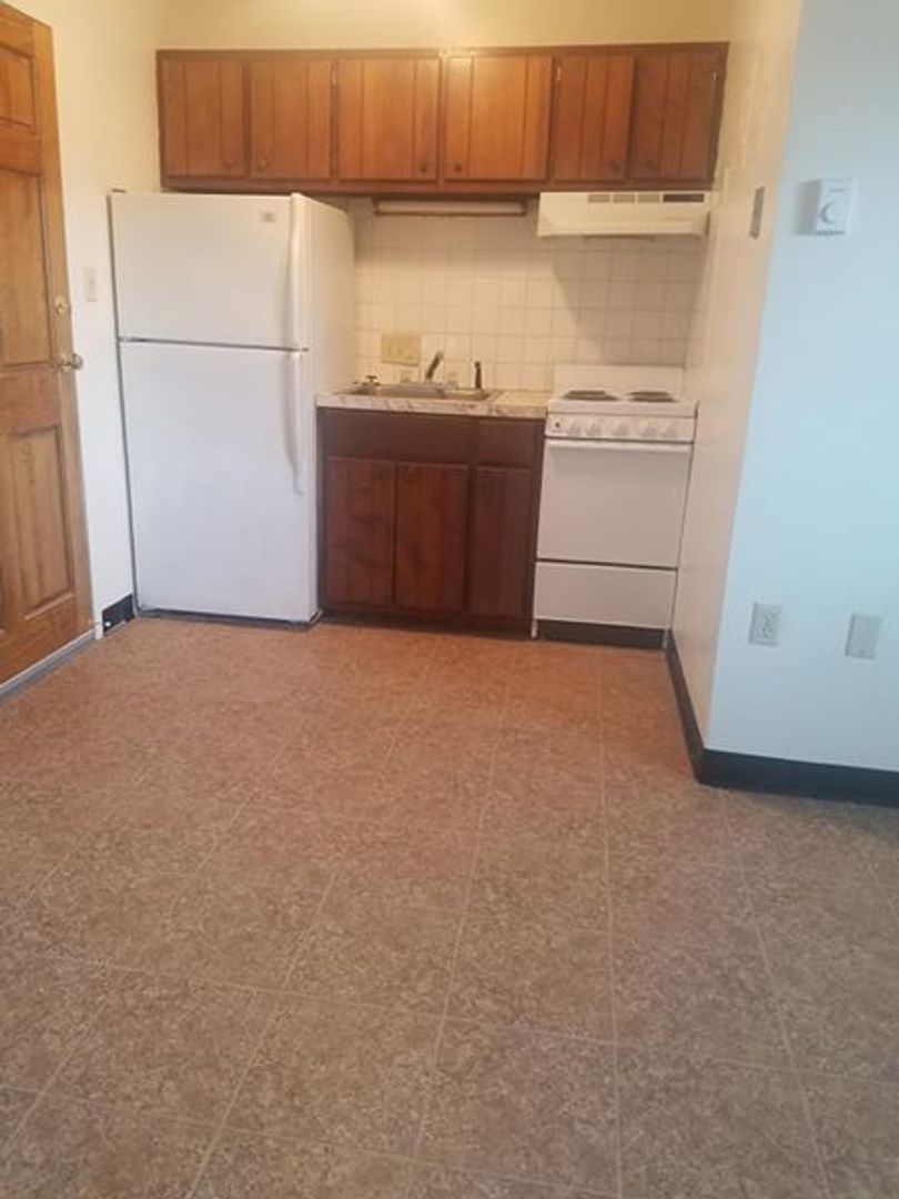 Cape Girardeau Apartment: 105 N. Clark