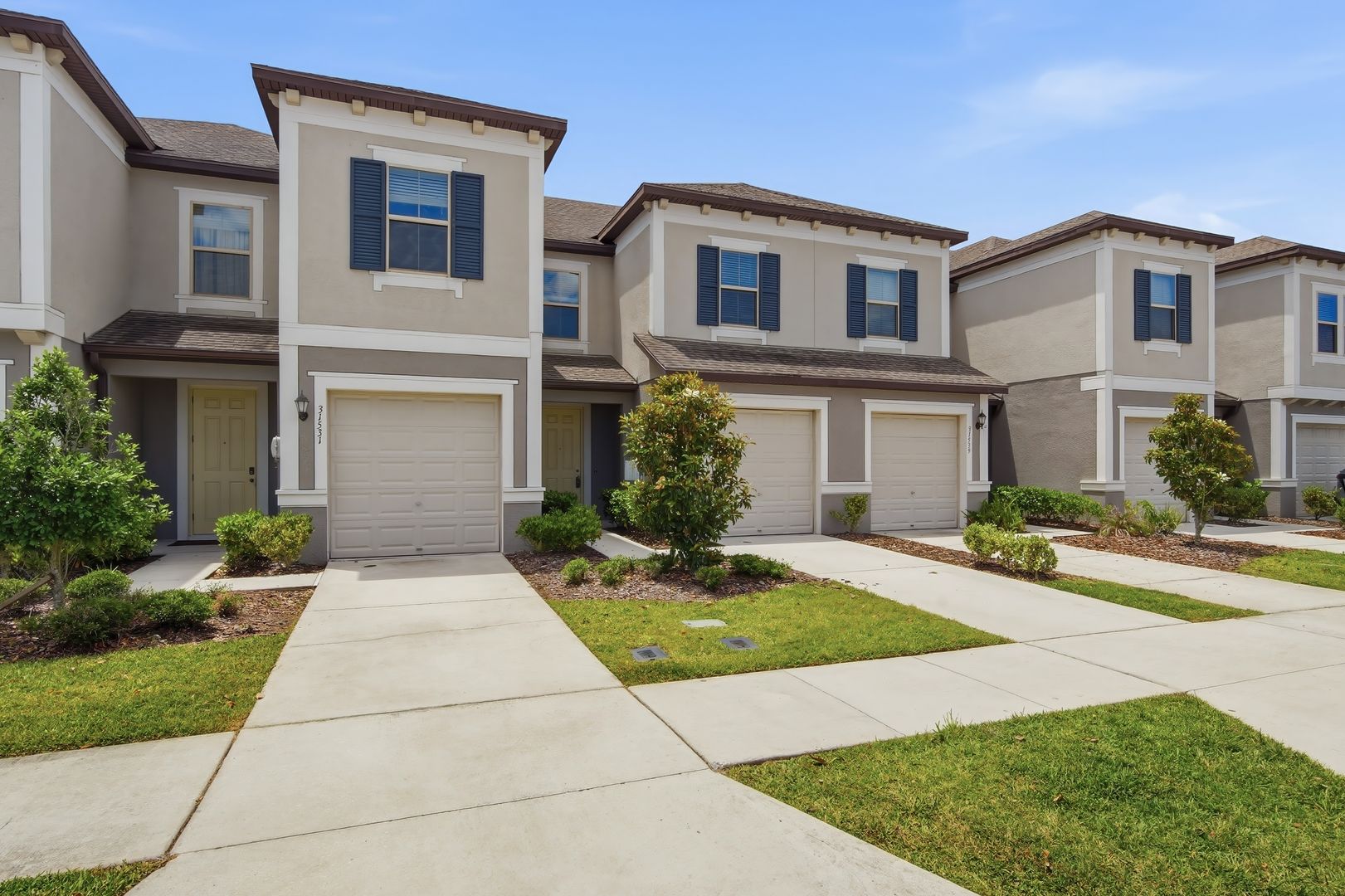 Wesley Chapel Townhome: 31535 Blue Passing Loop