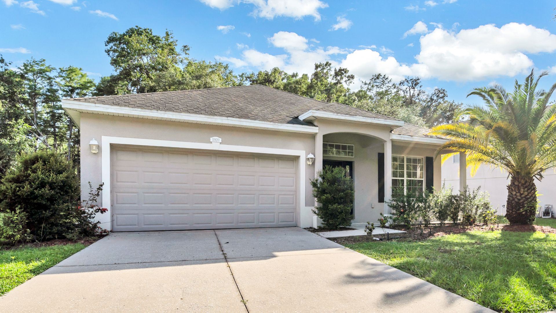New Port Richey House: 11920 Palm Bay Court
