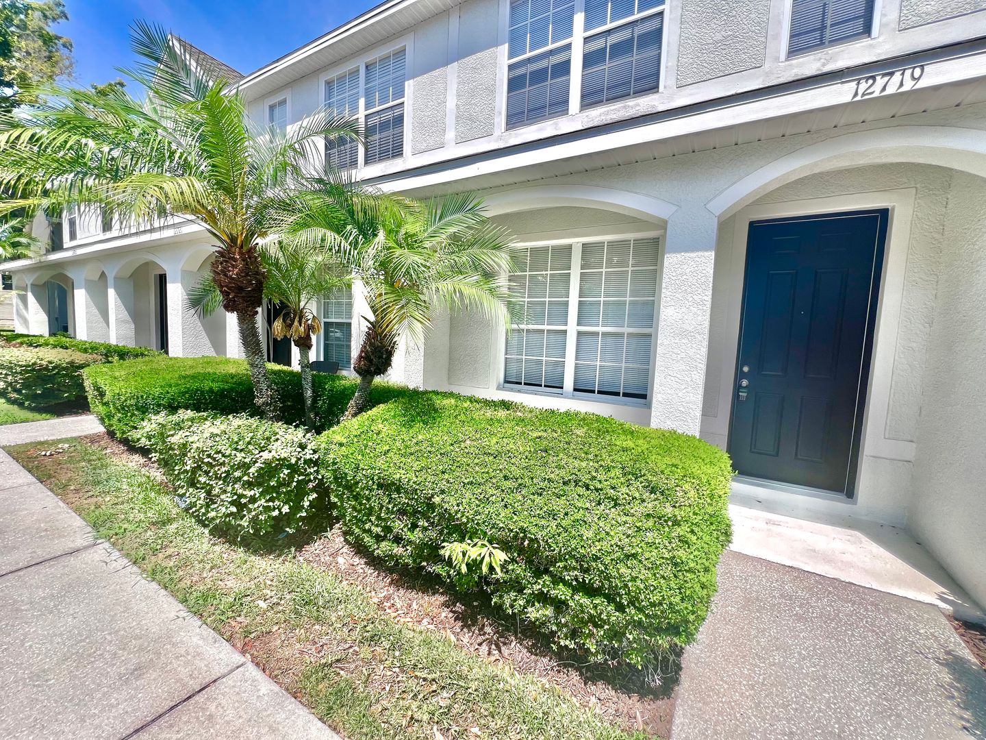 Tampa House: 12719 Country Brook Lane