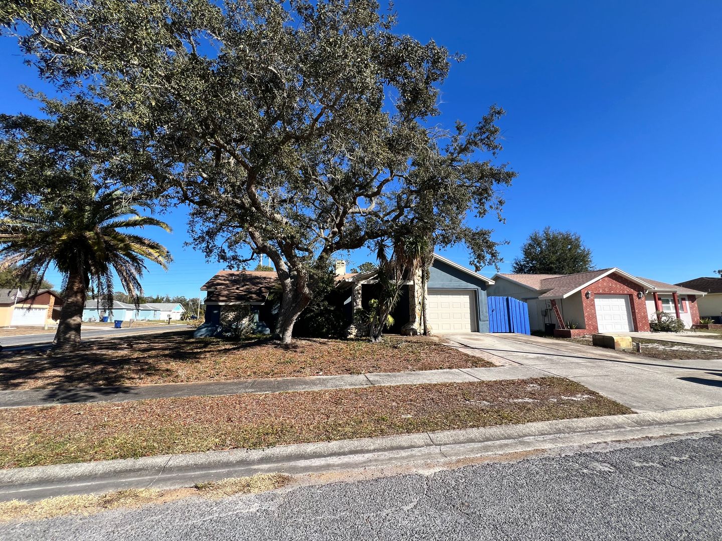 Holiday House: 1338 Calamondin Dr