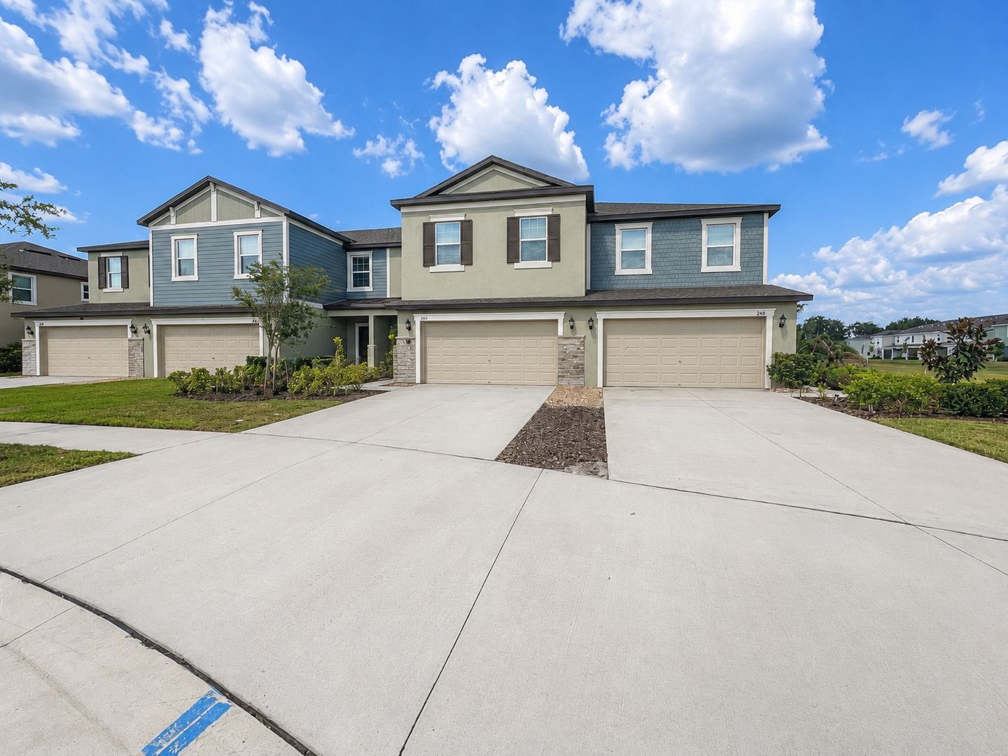 Land O Lakes House: 17696 Nectar Flume Dr