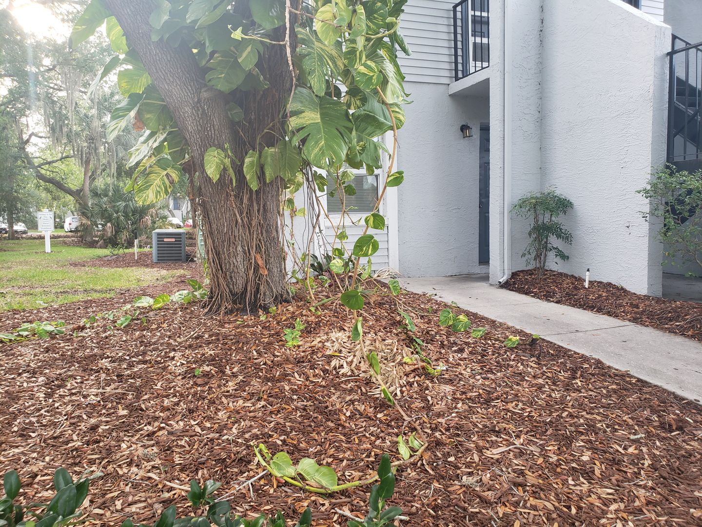 Tampa Condo: 7100 Waterside Dr