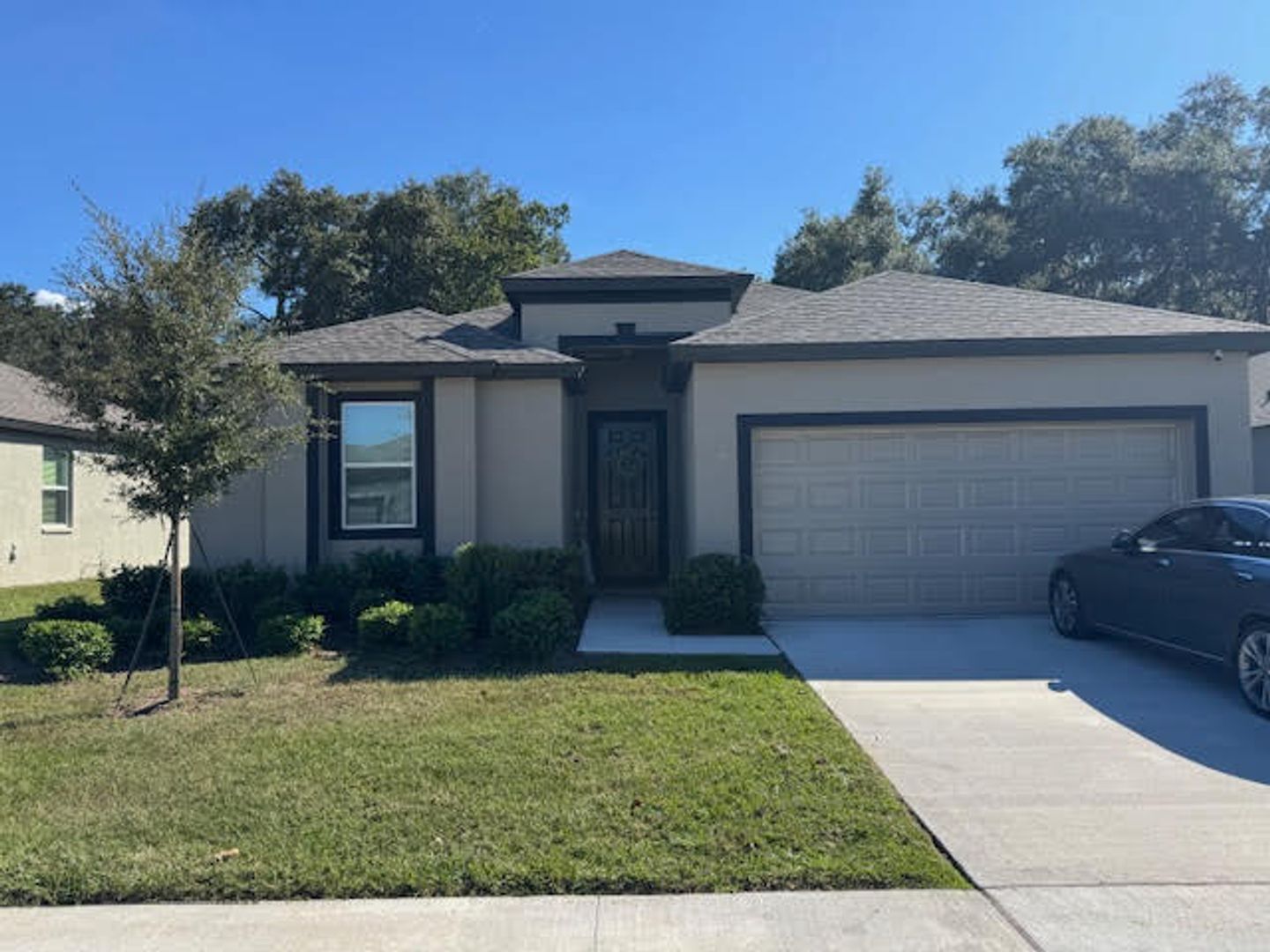 Zephryhills House: 34804 Mulrion Dr