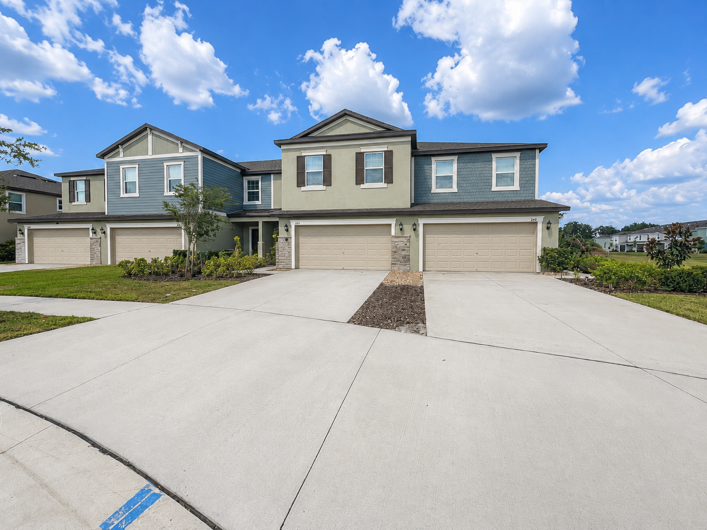 Land O Lakes House: 17696 Nectar Flume Dr