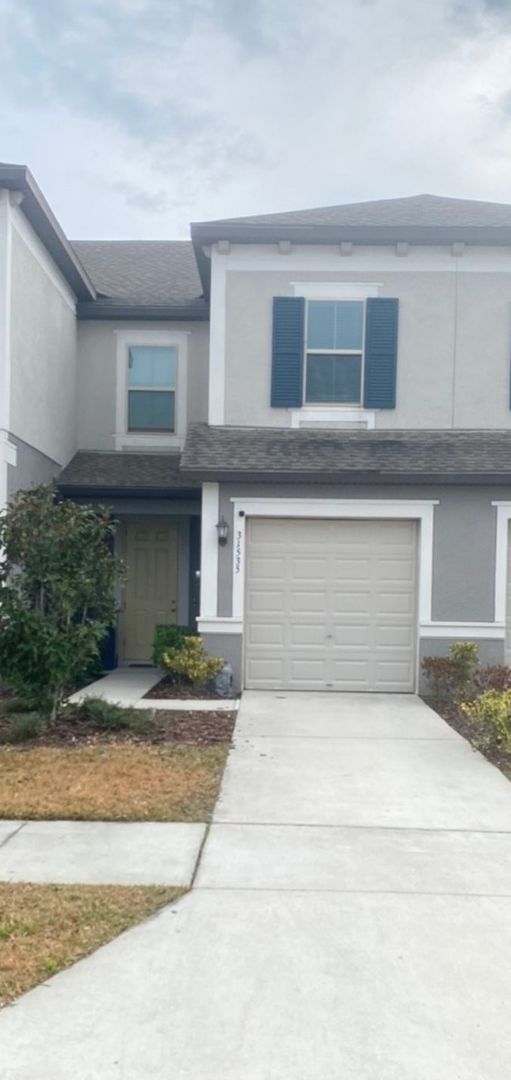 Wesley Chapel Townhome: 31535 Blue Passing Loop