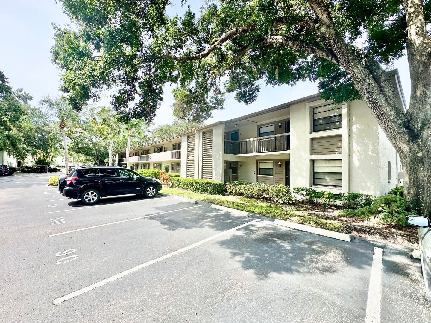 Clearwater Condo: 3048 Eastland Blvd #C203