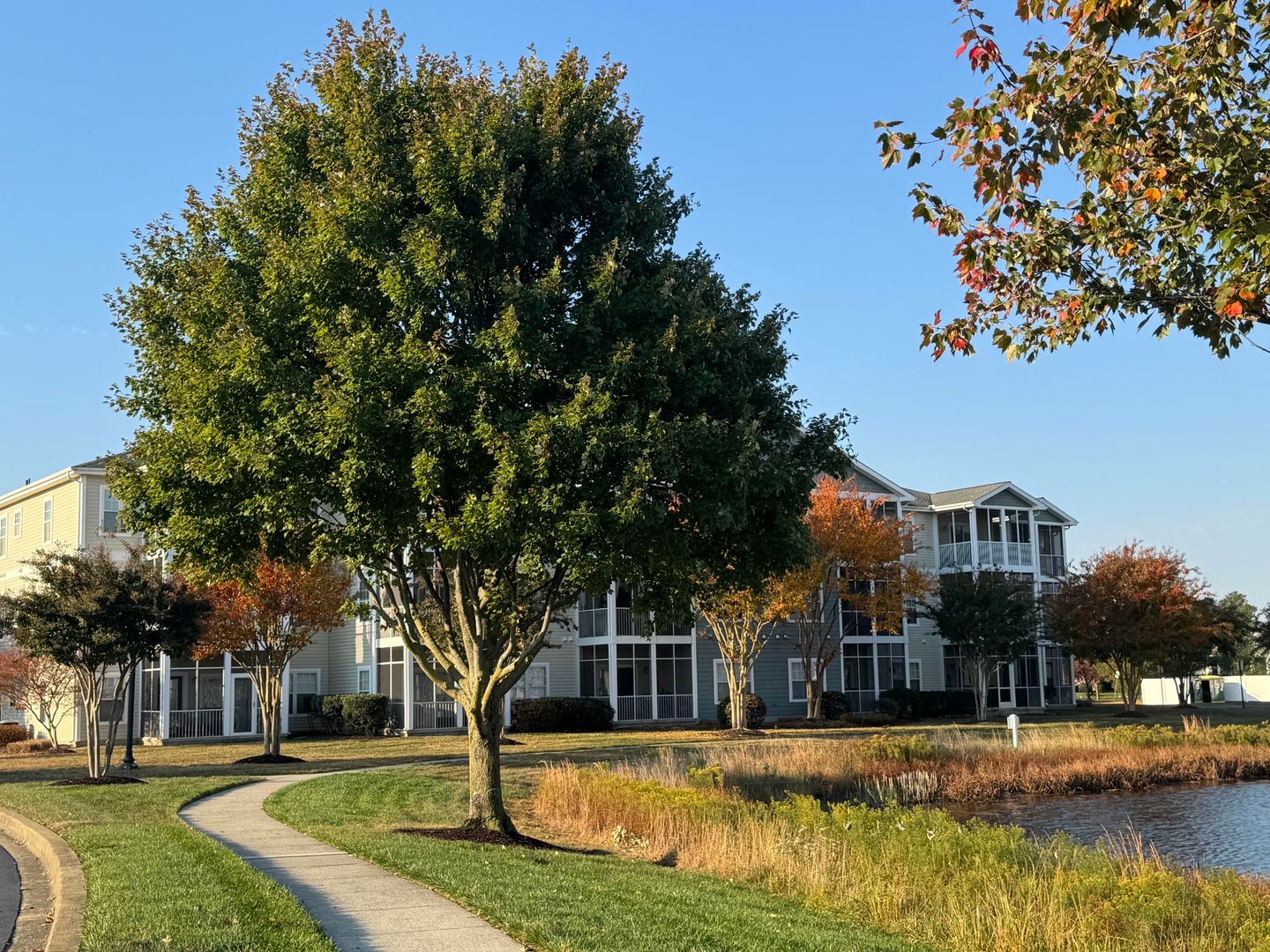Lewes Condo: 33106 N. Village Loop #1301