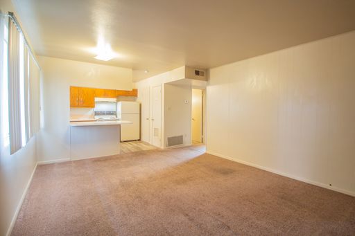 Plainview Apartment! First Full Month's rent Free! – photo 1