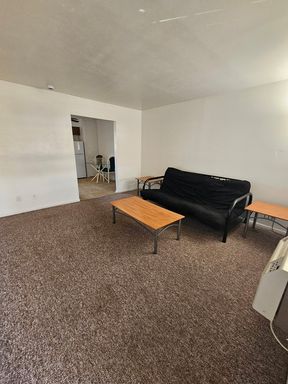 Great Apartment Close to Texas Tech Campus! – photo 1