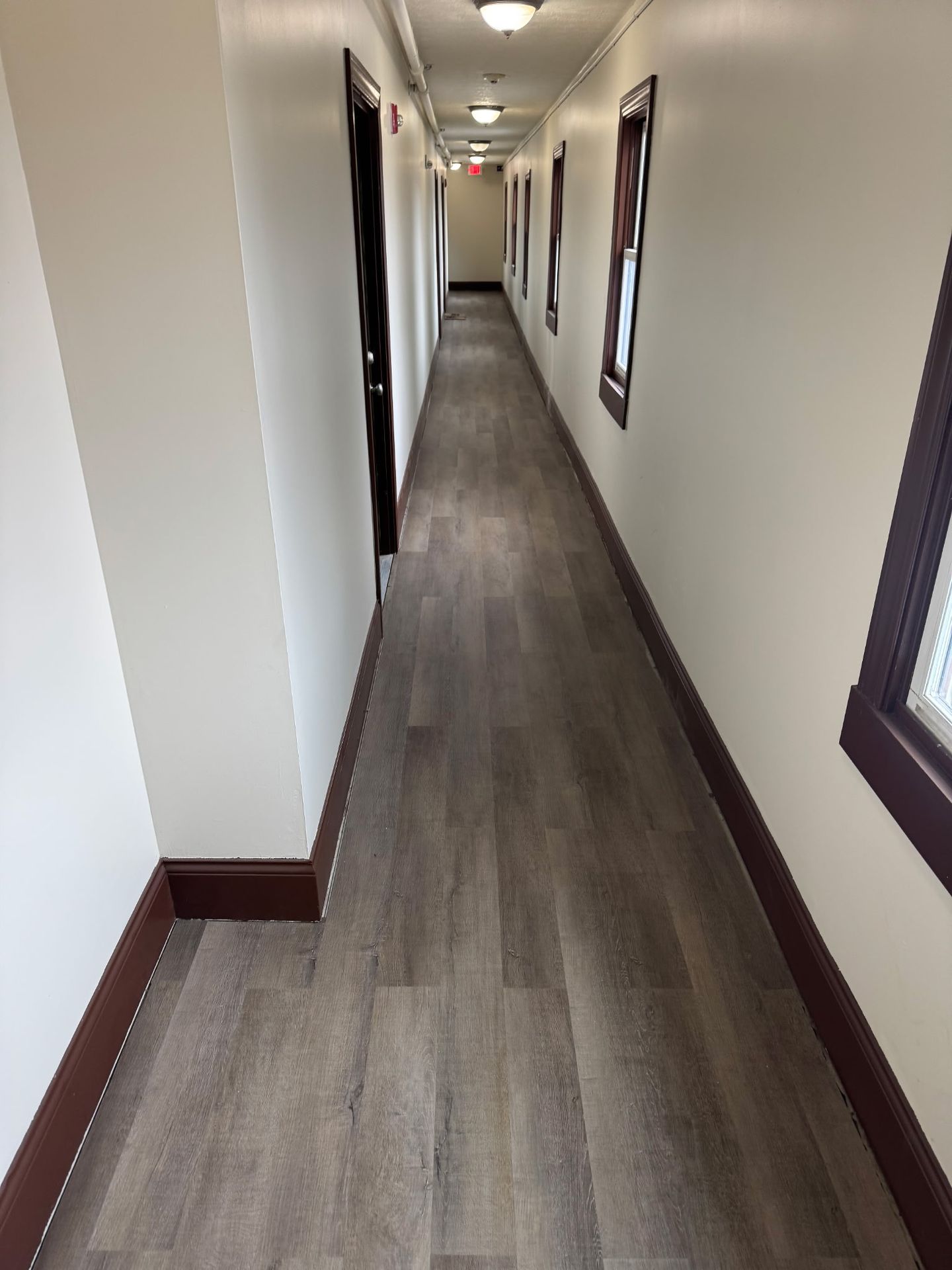 Louisville Apartment: 418 Ormsby Ave.