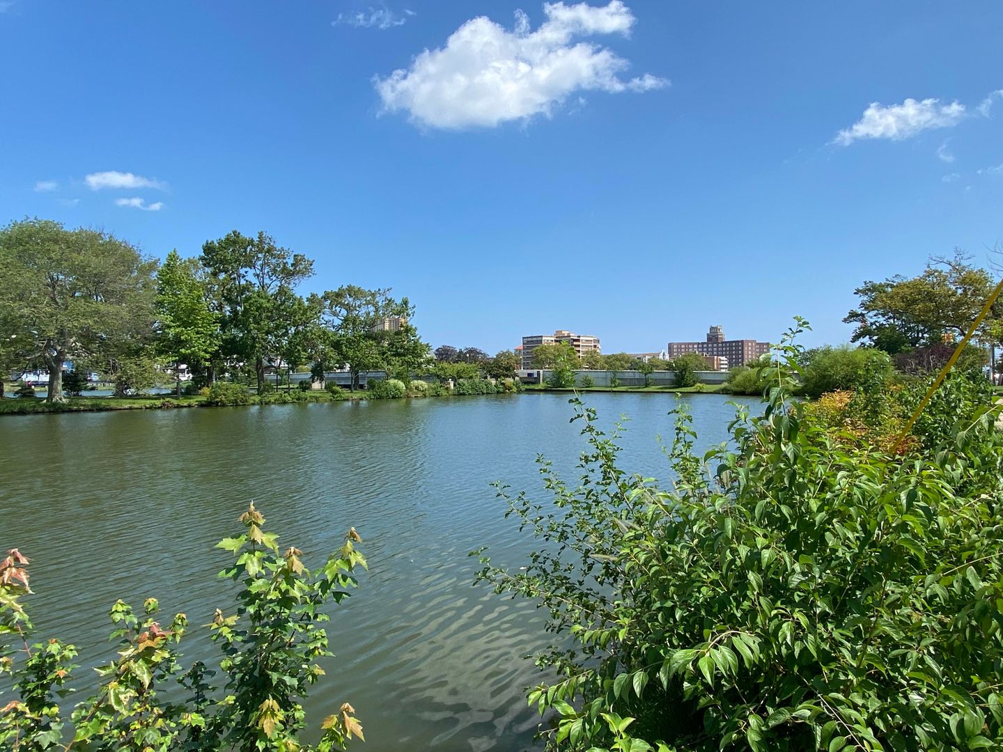 Asbury Park Apartment: 510 5th Ave