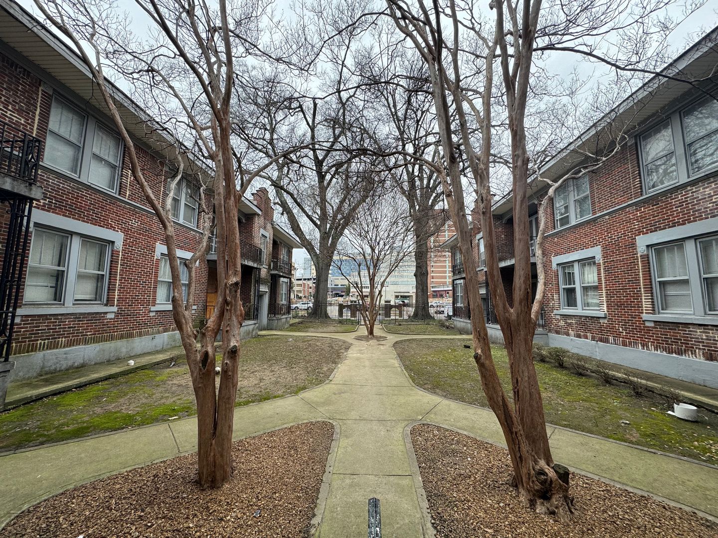 Memphis Apartment: 220 S. Cleveland St.