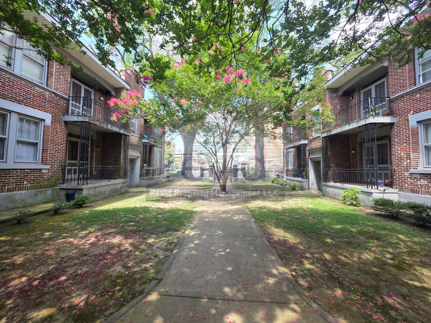 Memphis Apartment: 220 S. Cleveland St.