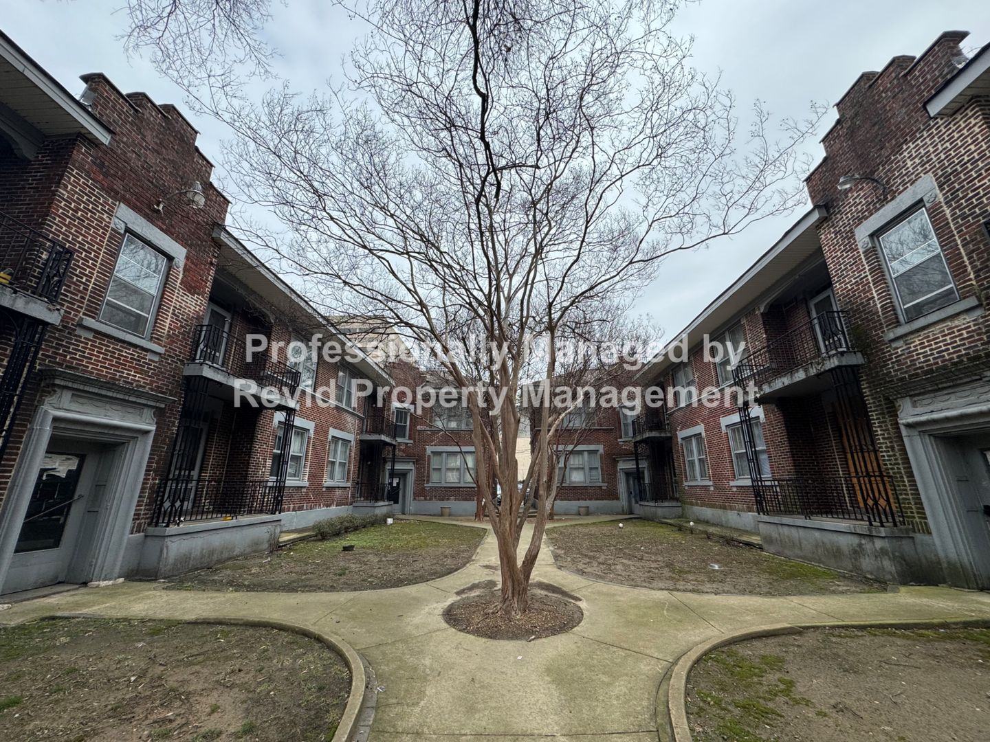 Memphis Apartment: 220 S. Cleveland St.