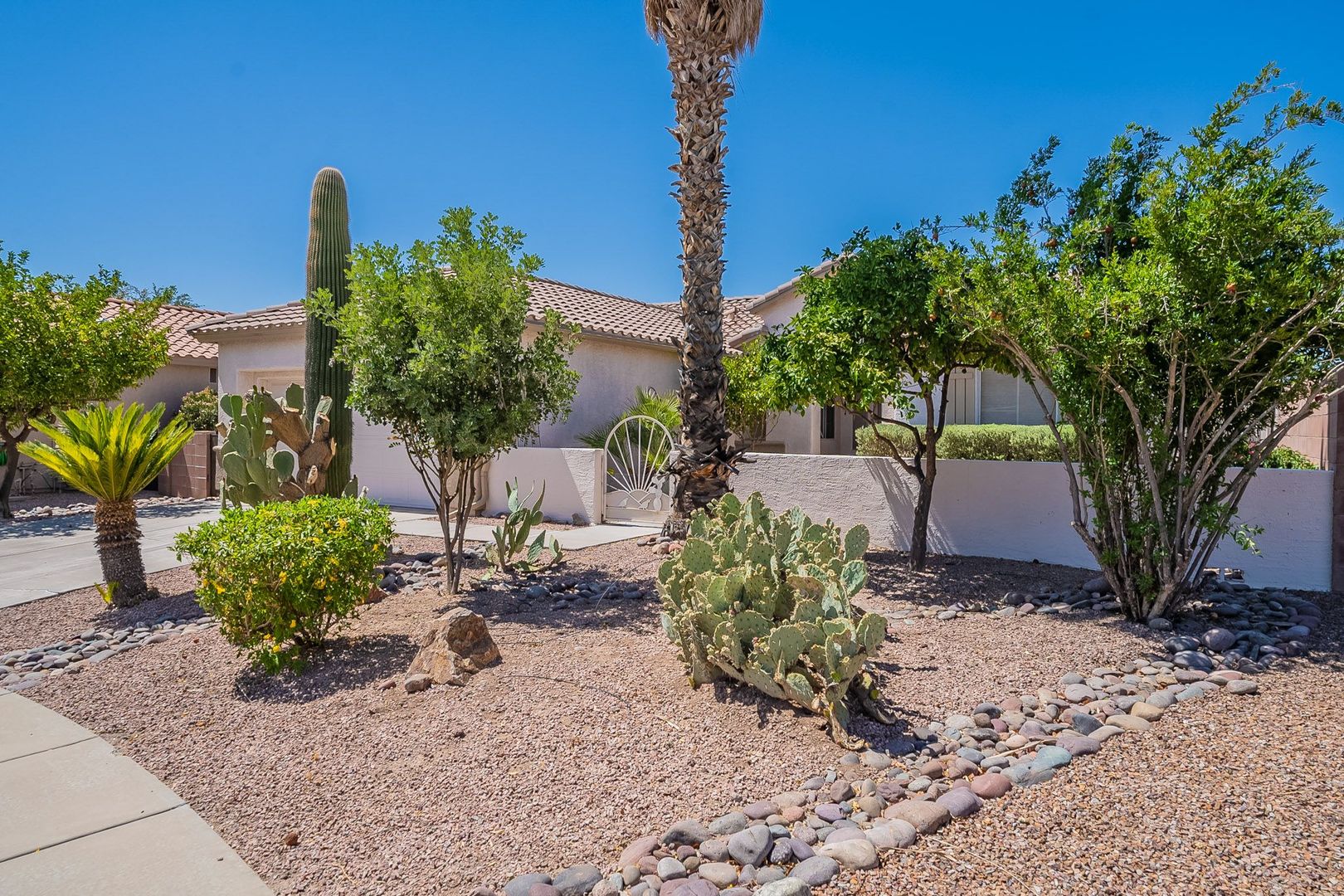Tucson House: 7602 W. Starry Night Lane