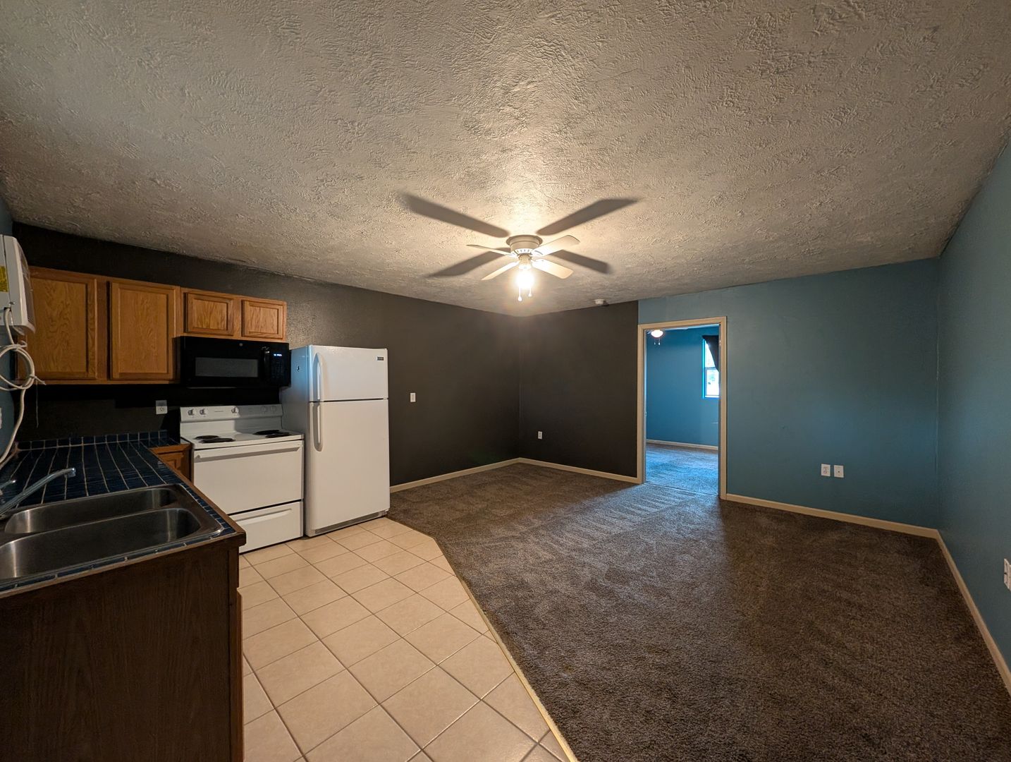 Judsonia Apartment: 900 Hwy 367