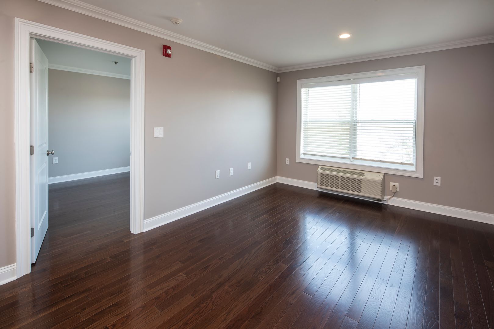 Bergenfield Apartment: 47 Legion Drive