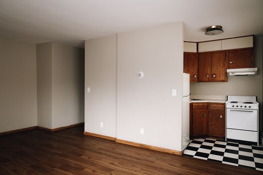 Spacious One Bedroom Apartment in Kingfield Minneapolis – photo 1