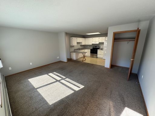 1 Bedroom Apartment with Open Layout & Large Walk-In Closet