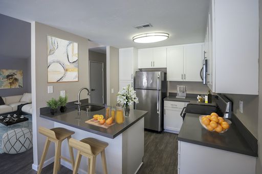 2x2 with Vaulted Ceilings in La Costa! Ask About Move in Specials! – photo 1