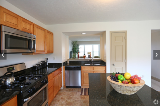 3BR Morgan Townhome w/ Finished Basement – photo 1