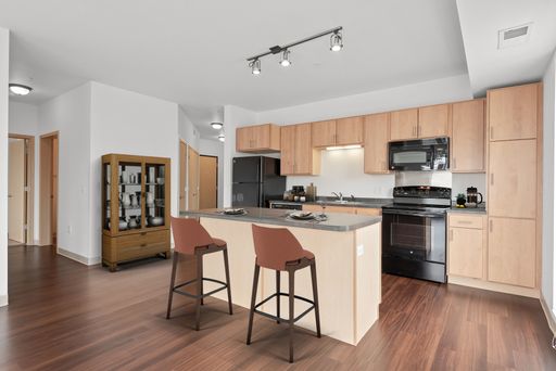 Fourth Street - Large Luxury 3 Bedroom 3 Bathroom in Heart of Dinkytown – photo 1
