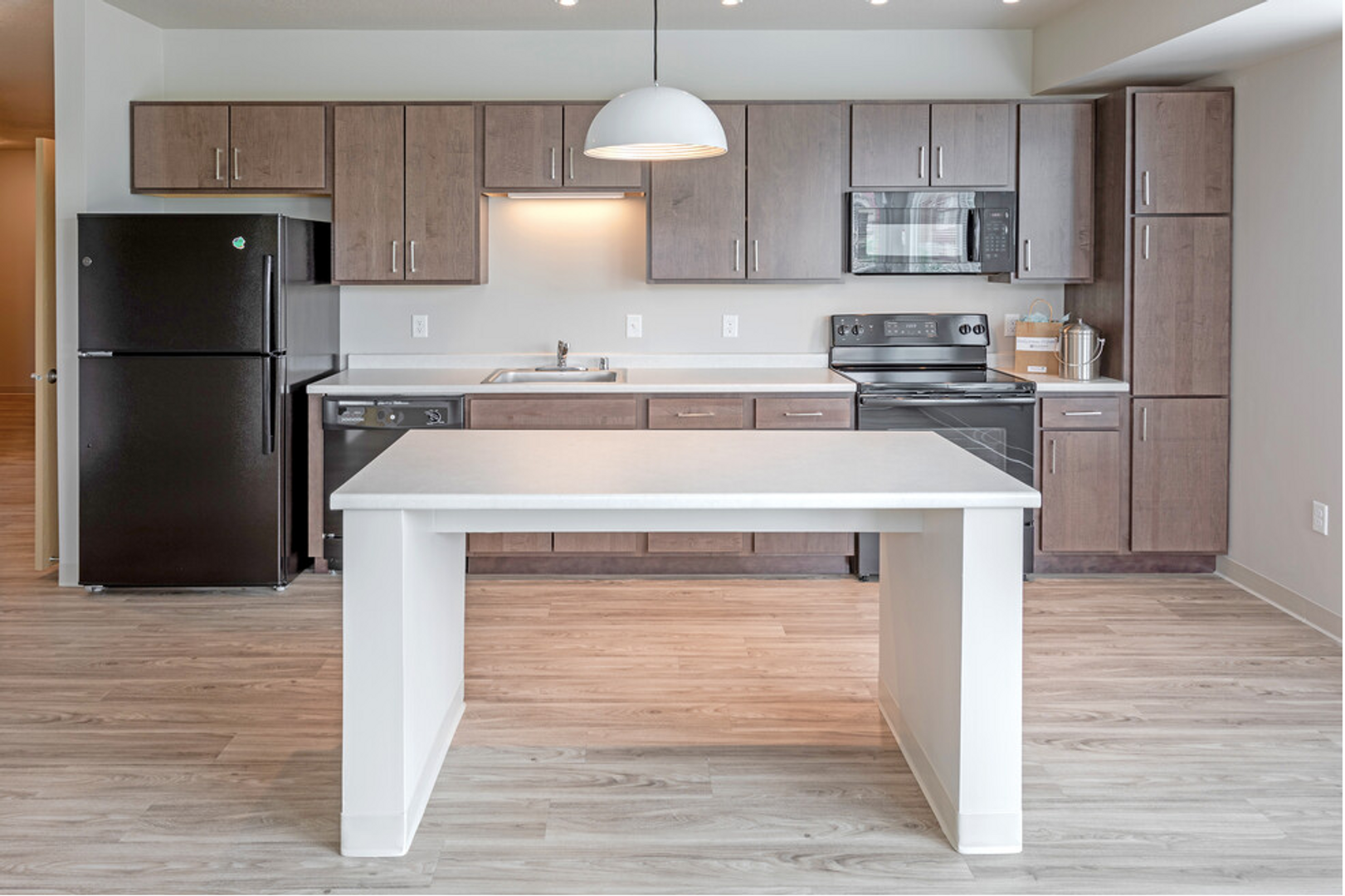 Minneapolis Apartment: 1220 Brook Avenue