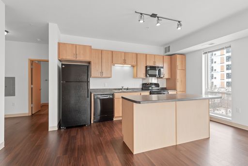 Fourth Street - Luxury 3 Bedroom in Heart of Dinkytown – photo 1