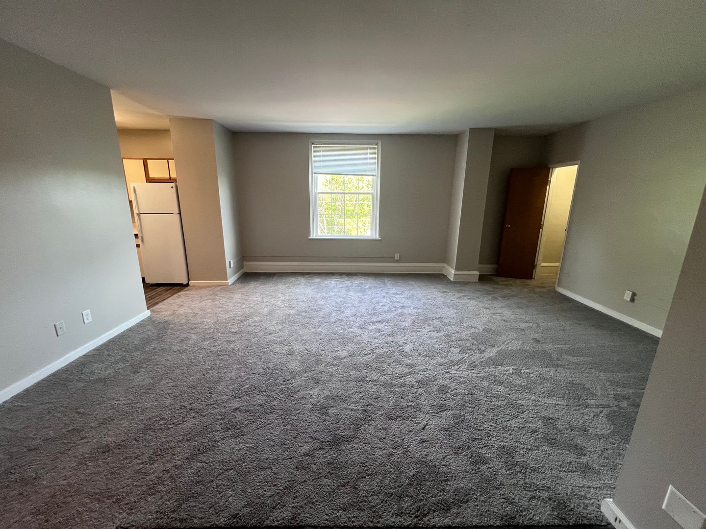 Delaware Apartment: 95 Elizabeth Street