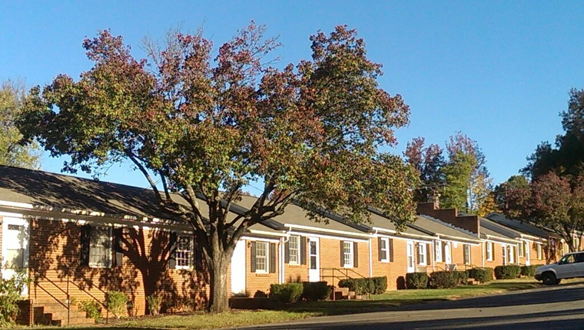CHARLOTTE Apartment: 3931