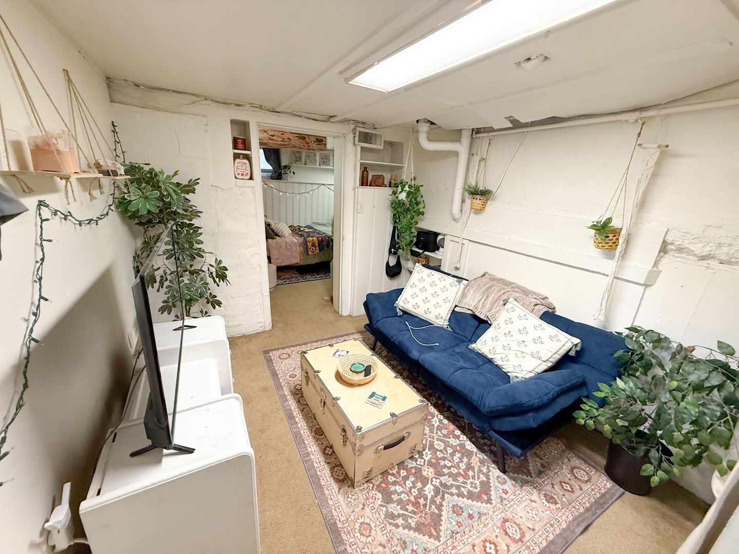 Fort Collins Apartment: 522 REMINGTON