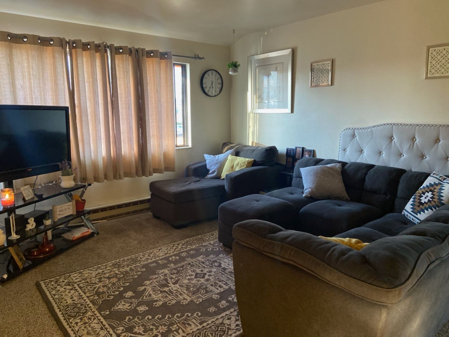 Fort Collins Apartment: 1734 Azalea Dr