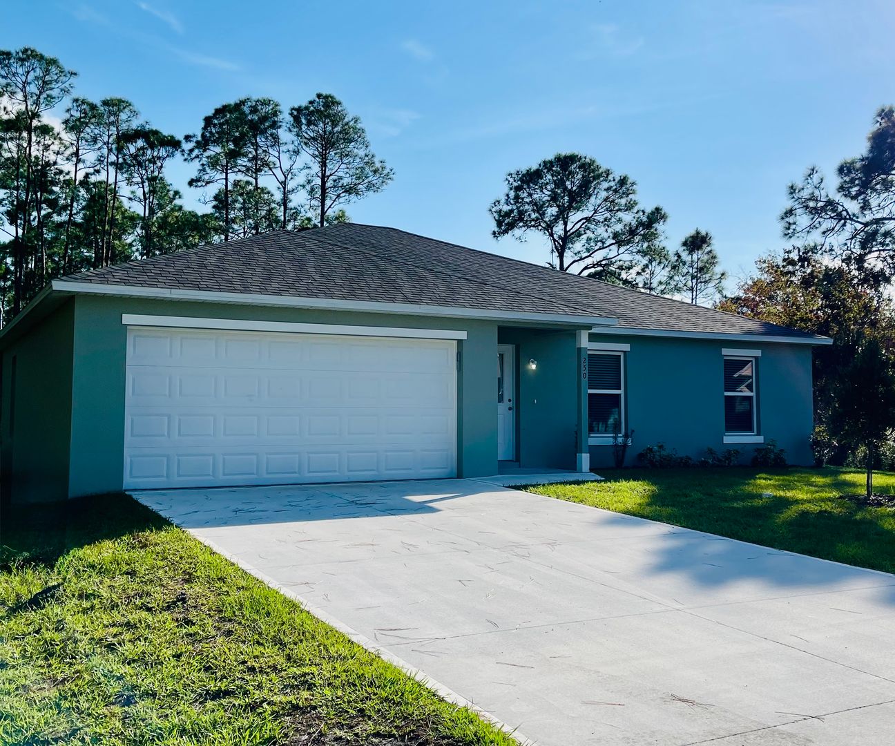 Palm Bay House: 250 Frederick Street SW