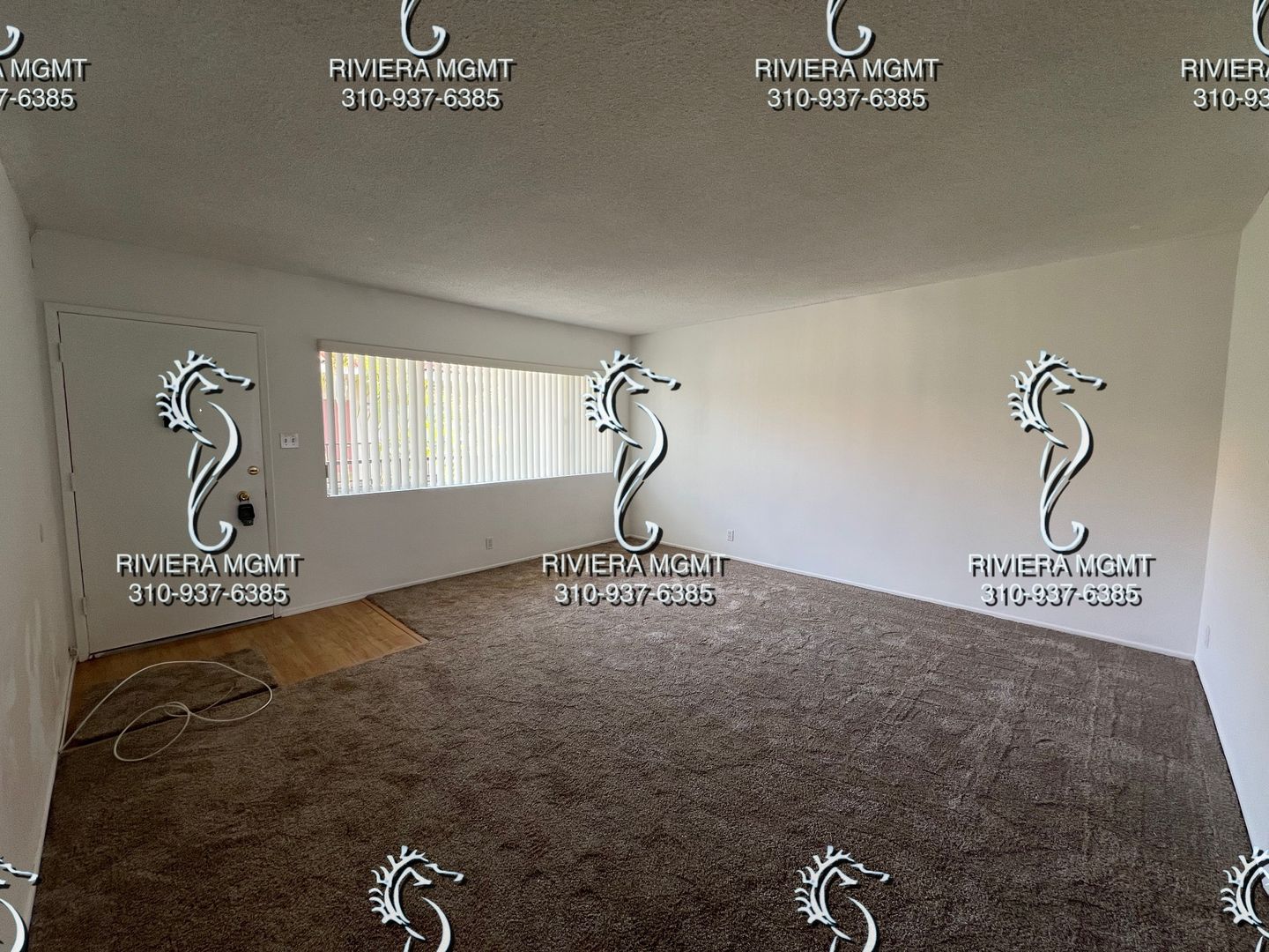 San Pedro Apartment: 445 W. 39th Street