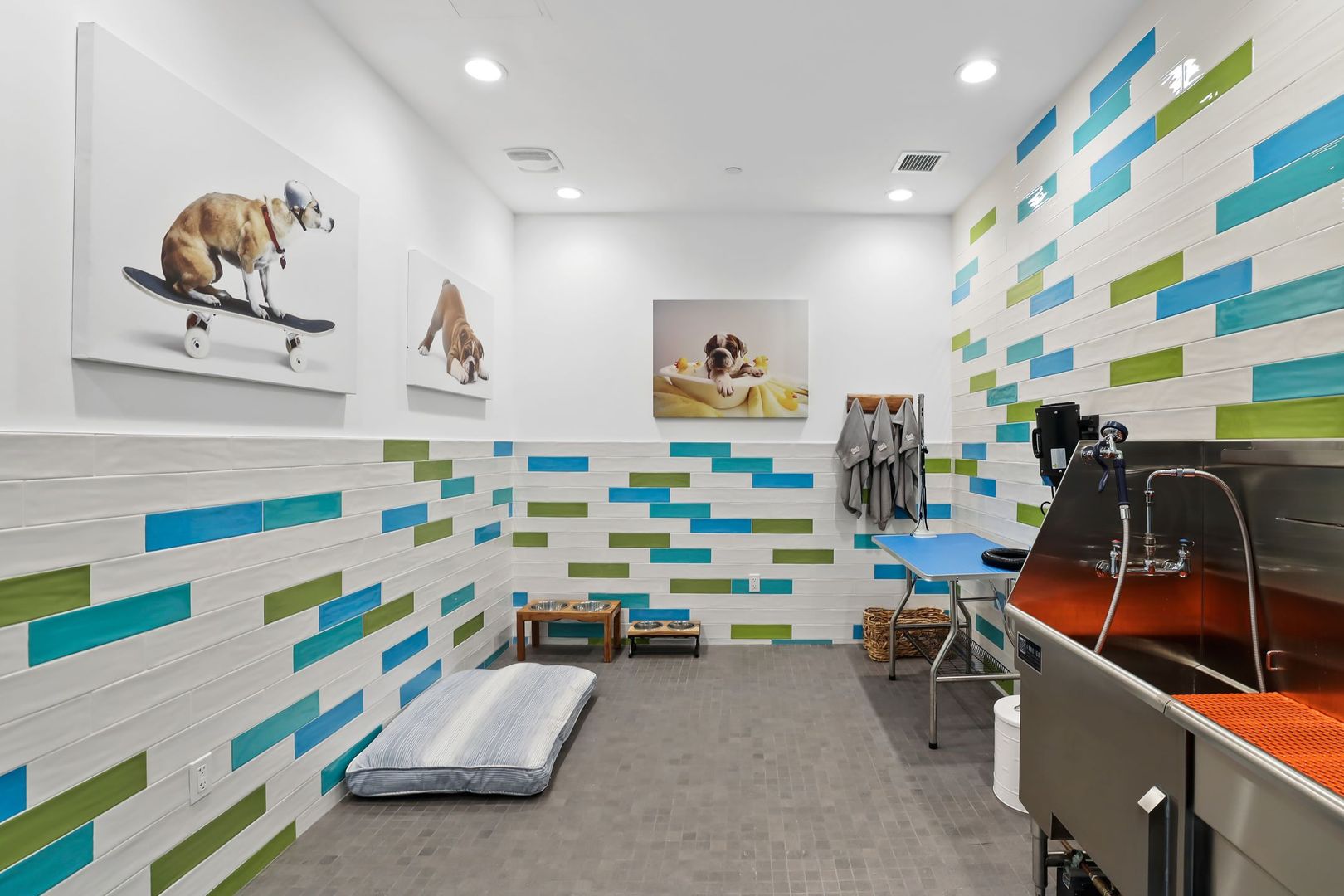 Pet wash at MODERNO La Granada (1 of 4)