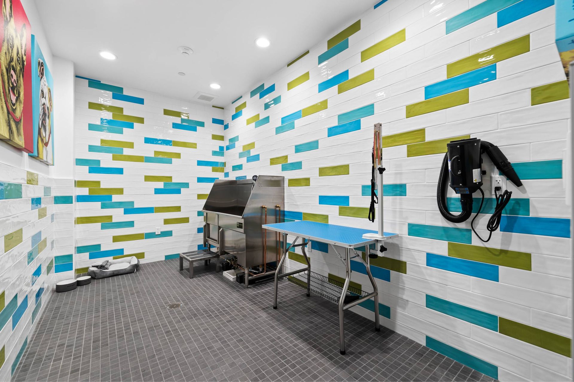 Pet wash at MODERNO Axis (1 of 3)