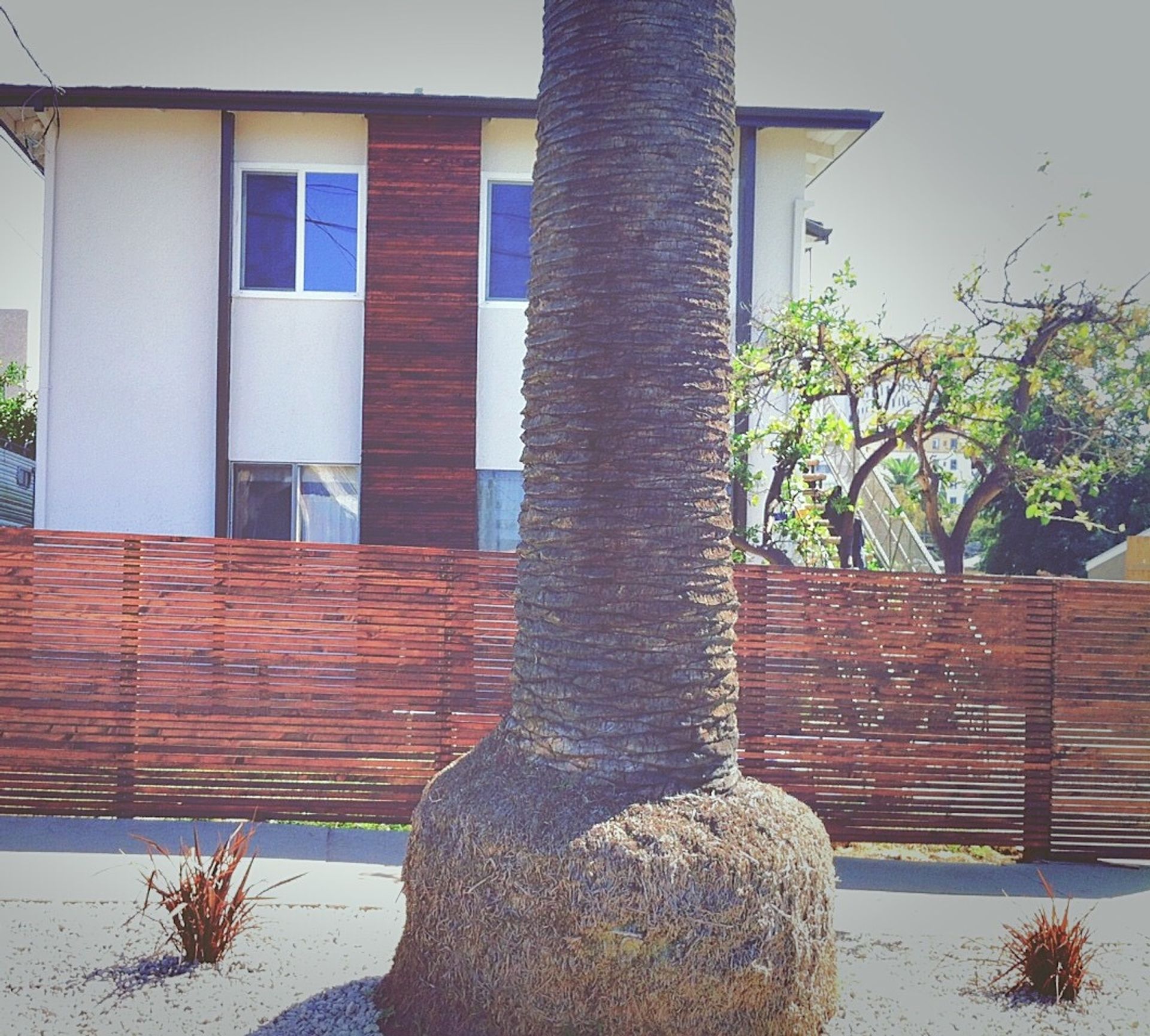 Los Angeles Apartment: 706 N Rampart Blvd.