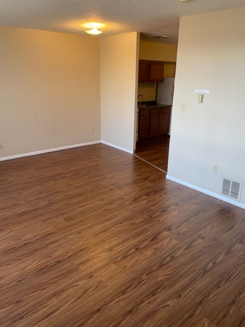 Kent Apartment: 250 River Street