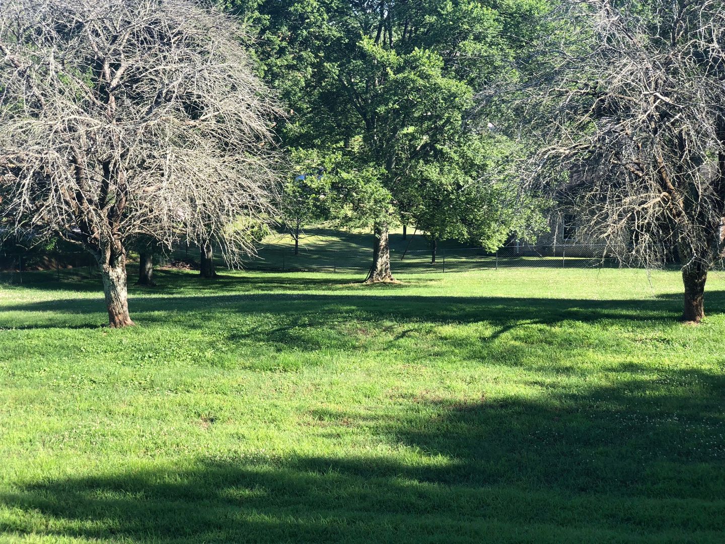 Old Hickory House: 102 Medaris Drive