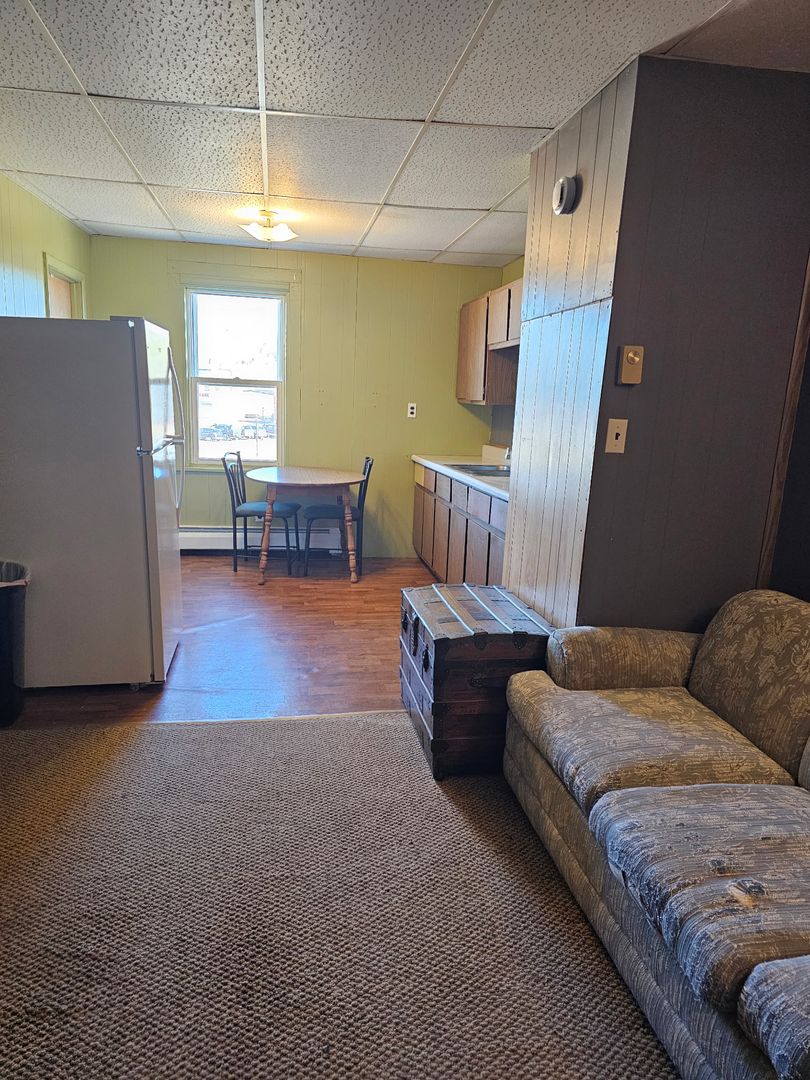 Ishpeming Apartment: 110 E Canda St