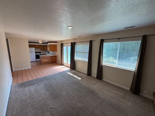 Lower-Level Orem Unit with Private Entrance & Large Living Area – photo 1